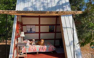 Name's photo of camping with pets at The Olive Grove near Nobleton, FL