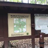 Review photo of Redbud Campground at Bell Smith Springs by Nick D., October 2, 2018