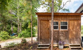 Name's photo of a cabin at The Olive Grove near Lutz, FL