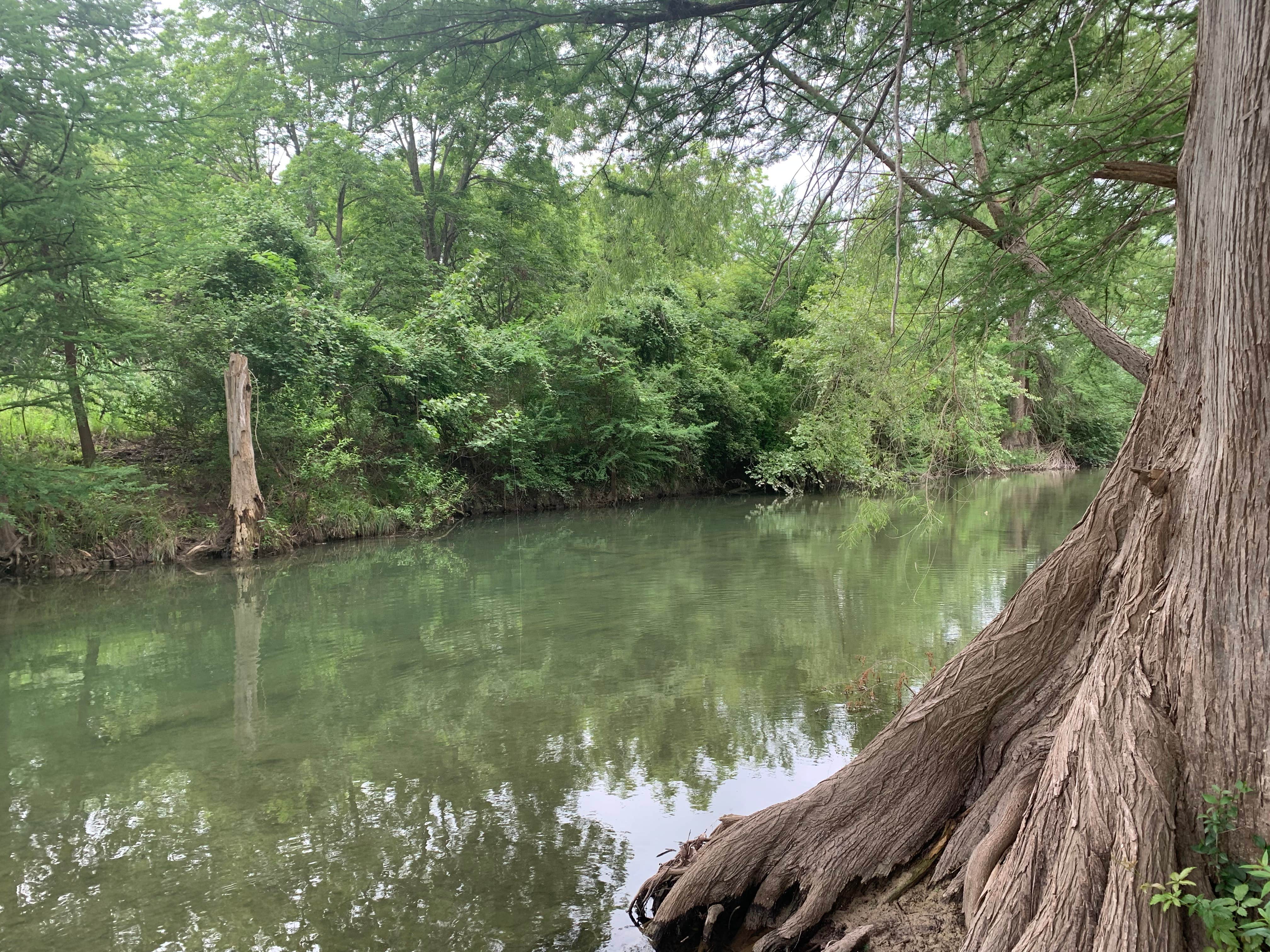 Camper-submitted photo at Bandera Star Riverfront Camping and RV near Bandera, TX