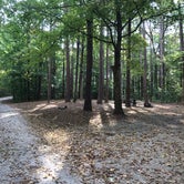 Review photo of Redbud Campground at Bell Smith Springs by Nick D., October 2, 2018