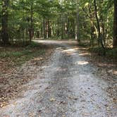 Review photo of Redbud Campground at Bell Smith Springs by Nick D., October 2, 2018