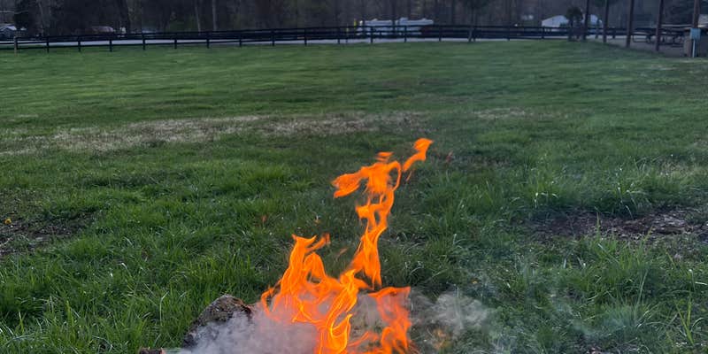 Camper submitted image from Guist Creek Marina & Campground