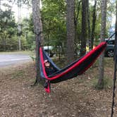 Review photo of Petit Jean State Park — Petit Jean State Park by Shana D., October 2, 2018