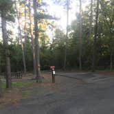 Review photo of Petit Jean State Park — Petit Jean State Park by Shana D., October 2, 2018
