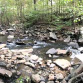 Review photo of Petit Jean State Park — Petit Jean State Park by Shana D., October 2, 2018