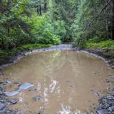 Review photo of Bird Creek Campground - Chugach State Park by Shari  G., April 4, 2023