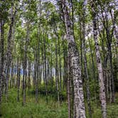 Review photo of Bird Creek Campground - Chugach State Park by Shari  G., April 4, 2023