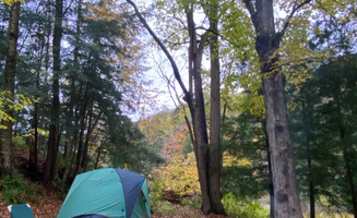 Lucinda N.'s photo at Vermont Ranch and Riverside Retreat near Waitsfield, VT