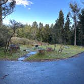 Review photo of Hosmer Grove Campground — Haleakalā National Park by Valerie S., April 4, 2023