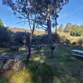 Review photo of Hosmer Grove Campground — Haleakalā National Park by Valerie S., April 4, 2023