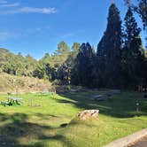 Review photo of Hosmer Grove Campground — Haleakalā National Park by Valerie S., April 4, 2023