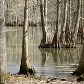 Review photo of South Campground — Chicot State Park by Name , April 4, 2023