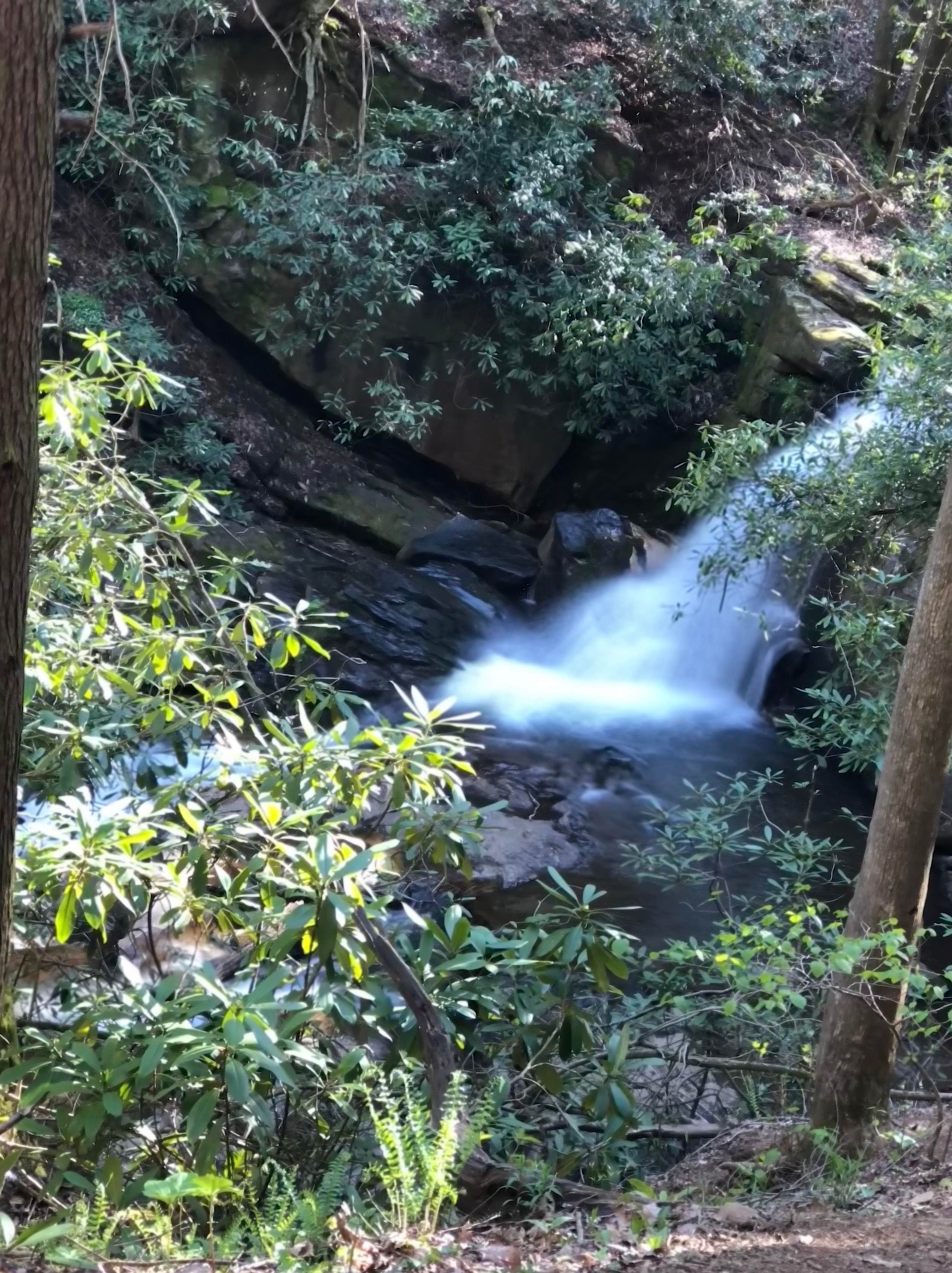 Camper-submitted photo at Raven Cliff Falls near Long Creek, SC