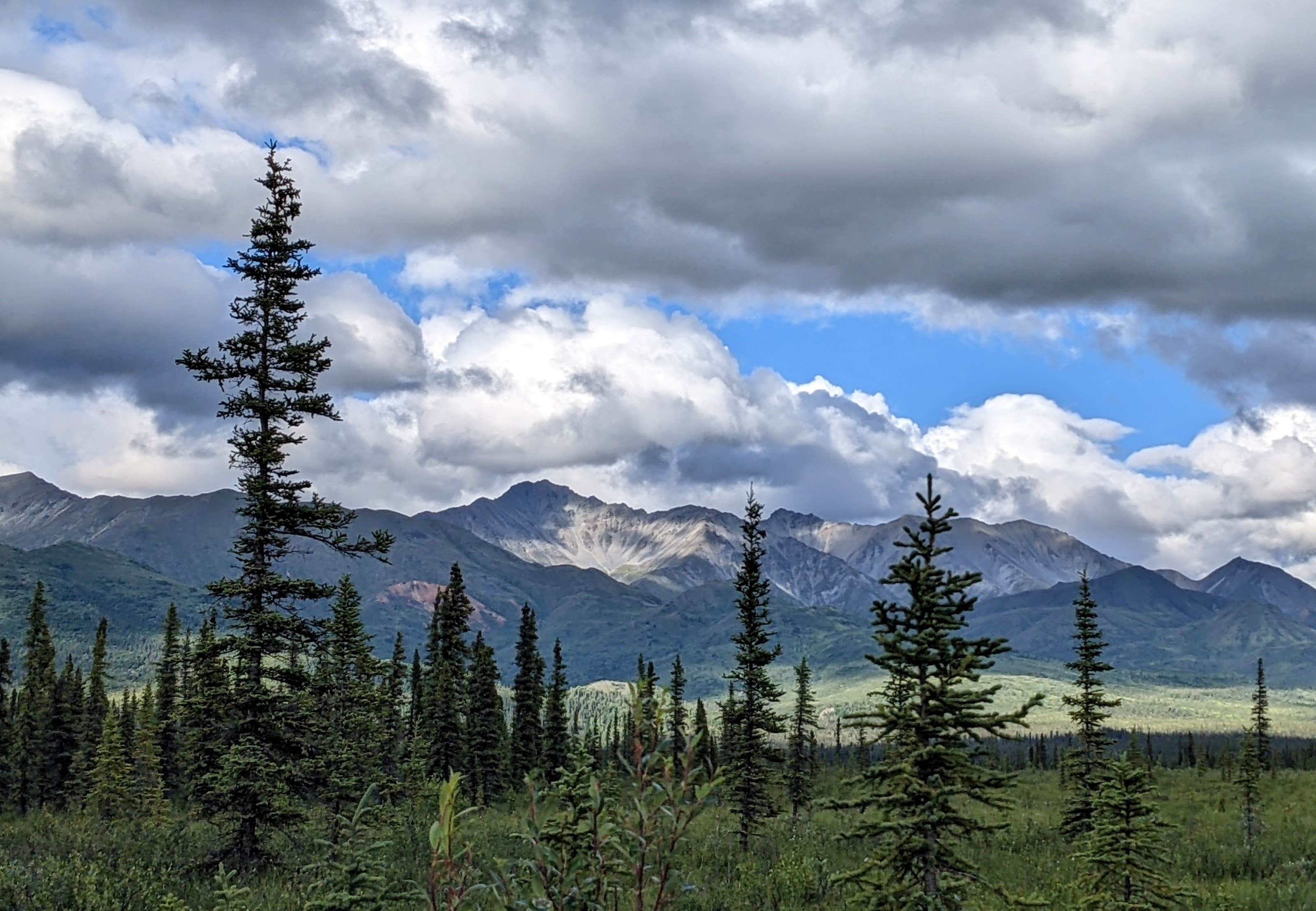 Camper-submitted photo at Nabesna Road Wrangell St. Elias National Park near Slana, AK