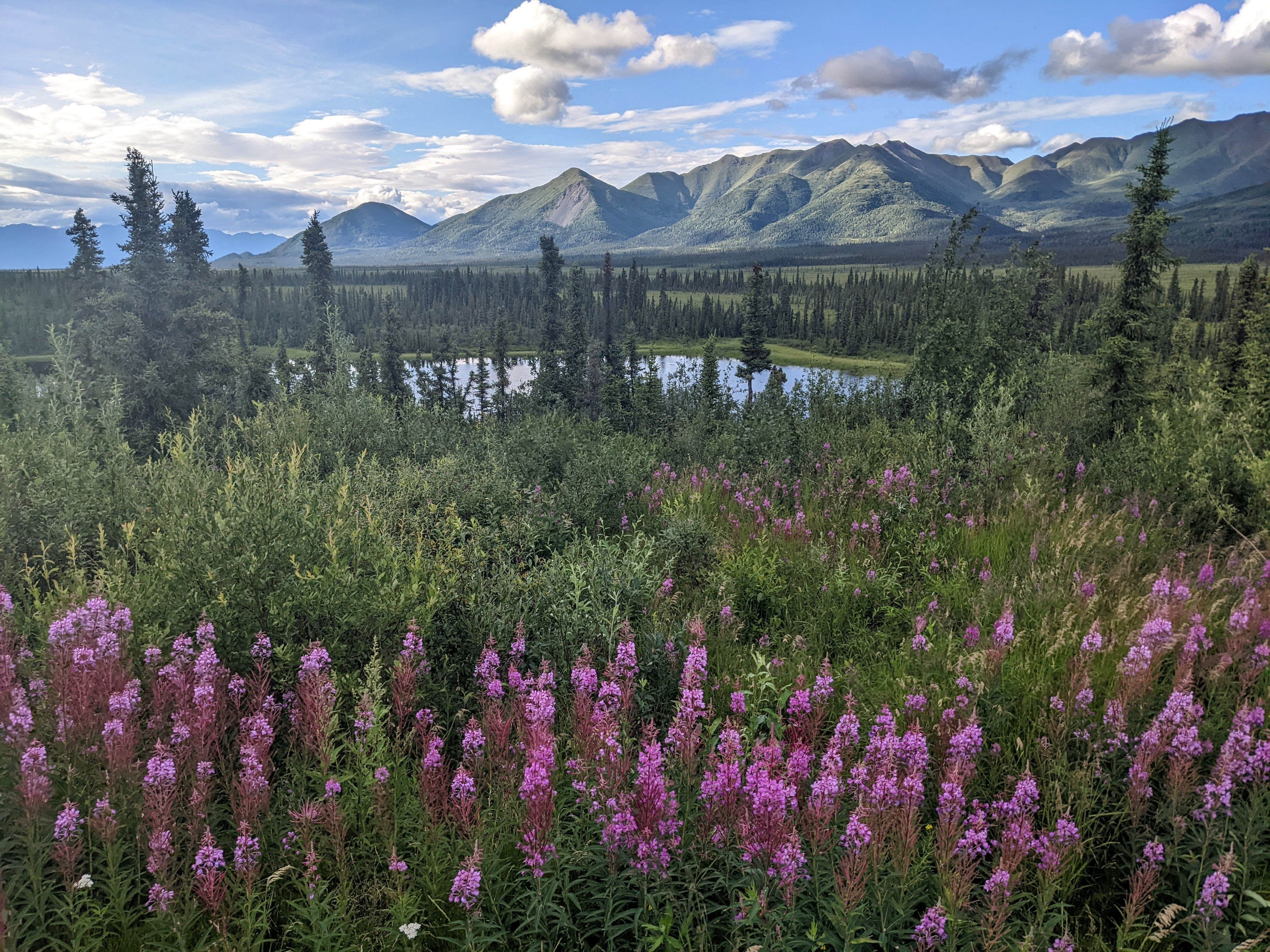 Camper-submitted photo at Nabesna Road Wrangell St. Elias National Park near Slana, AK