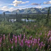 Review photo of Nabesna Road Wrangell St. Elias National Park by Shari  G., April 4, 2023