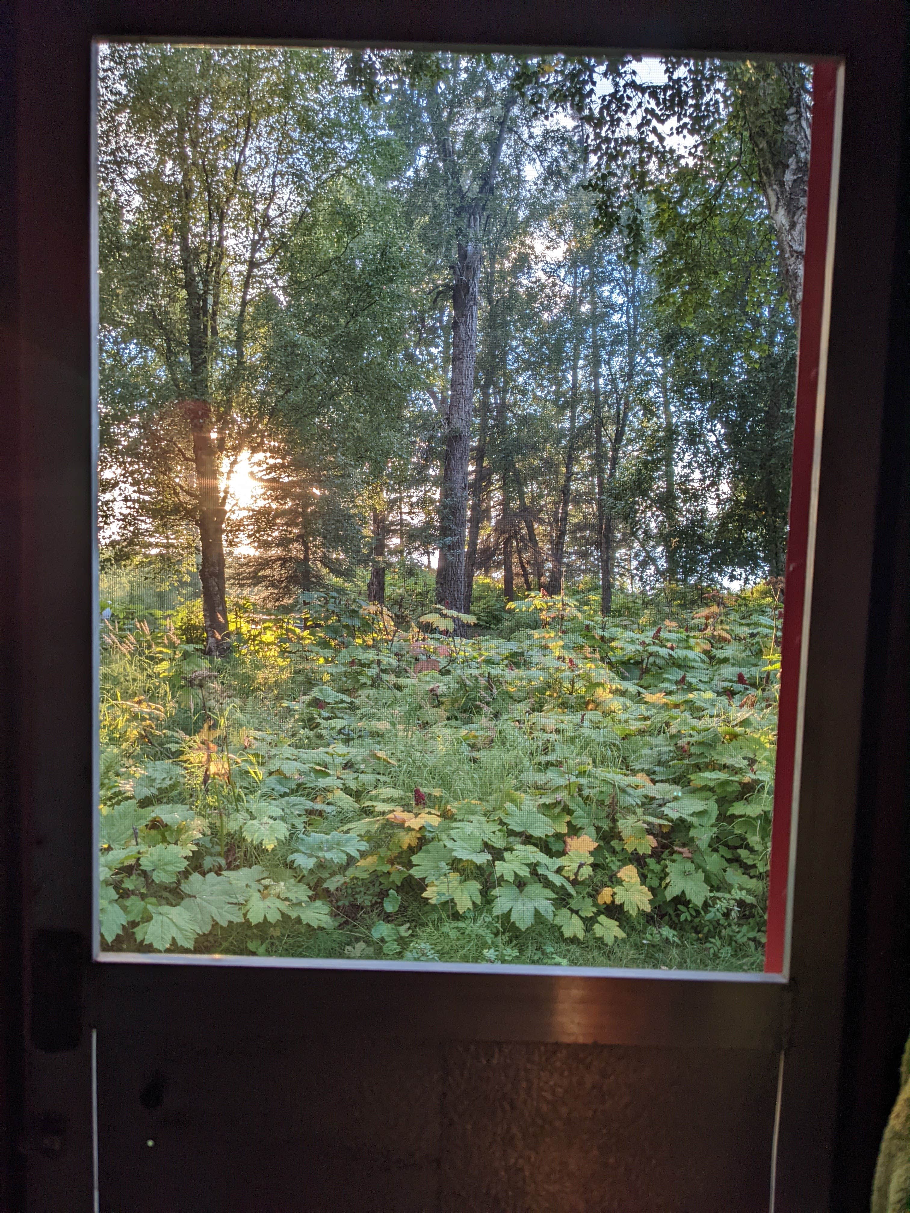 Camper-submitted photo at Captain Cook State Recreation Area near Kenai, AK