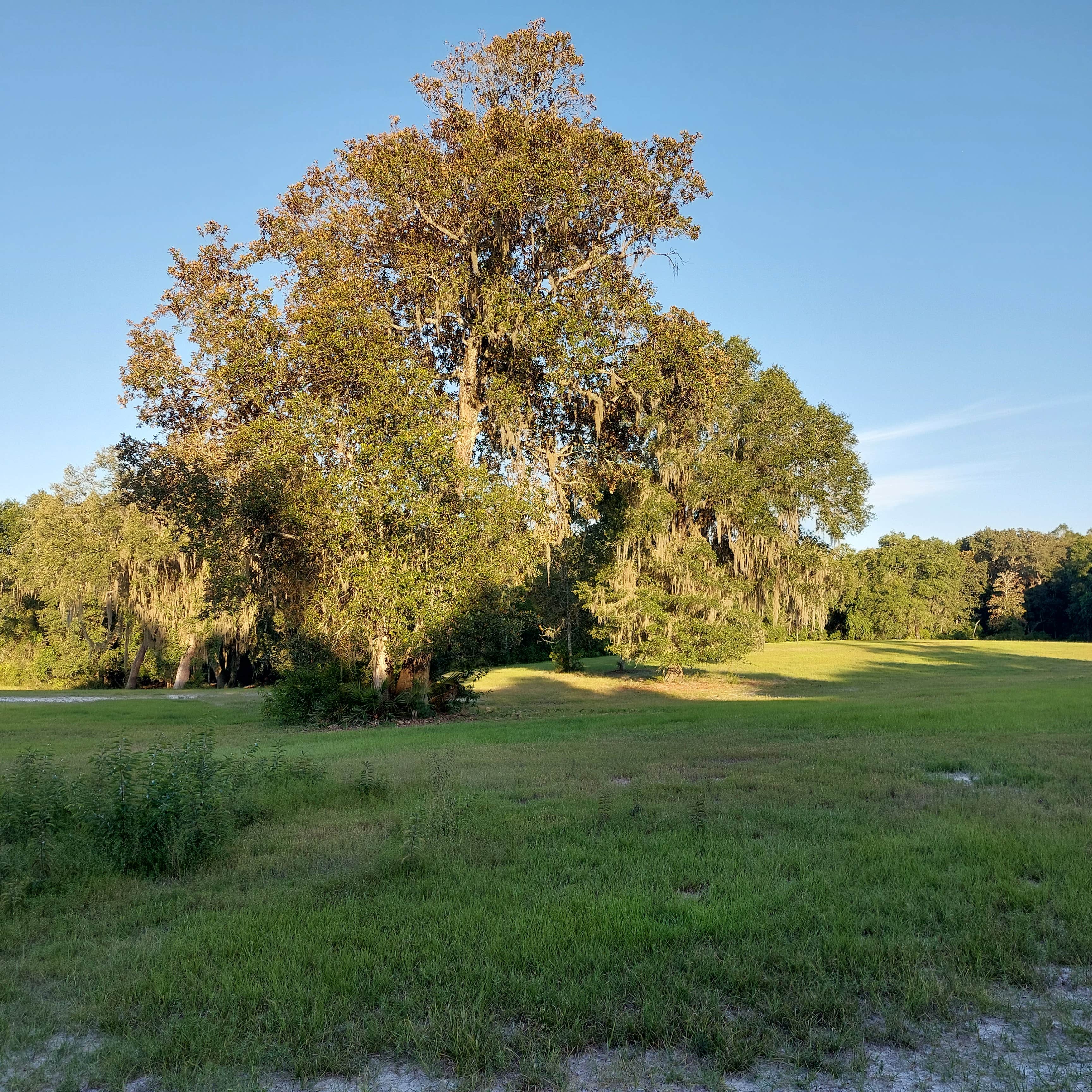Camper-submitted photo at Lucky U Ranch near Inverness, FL