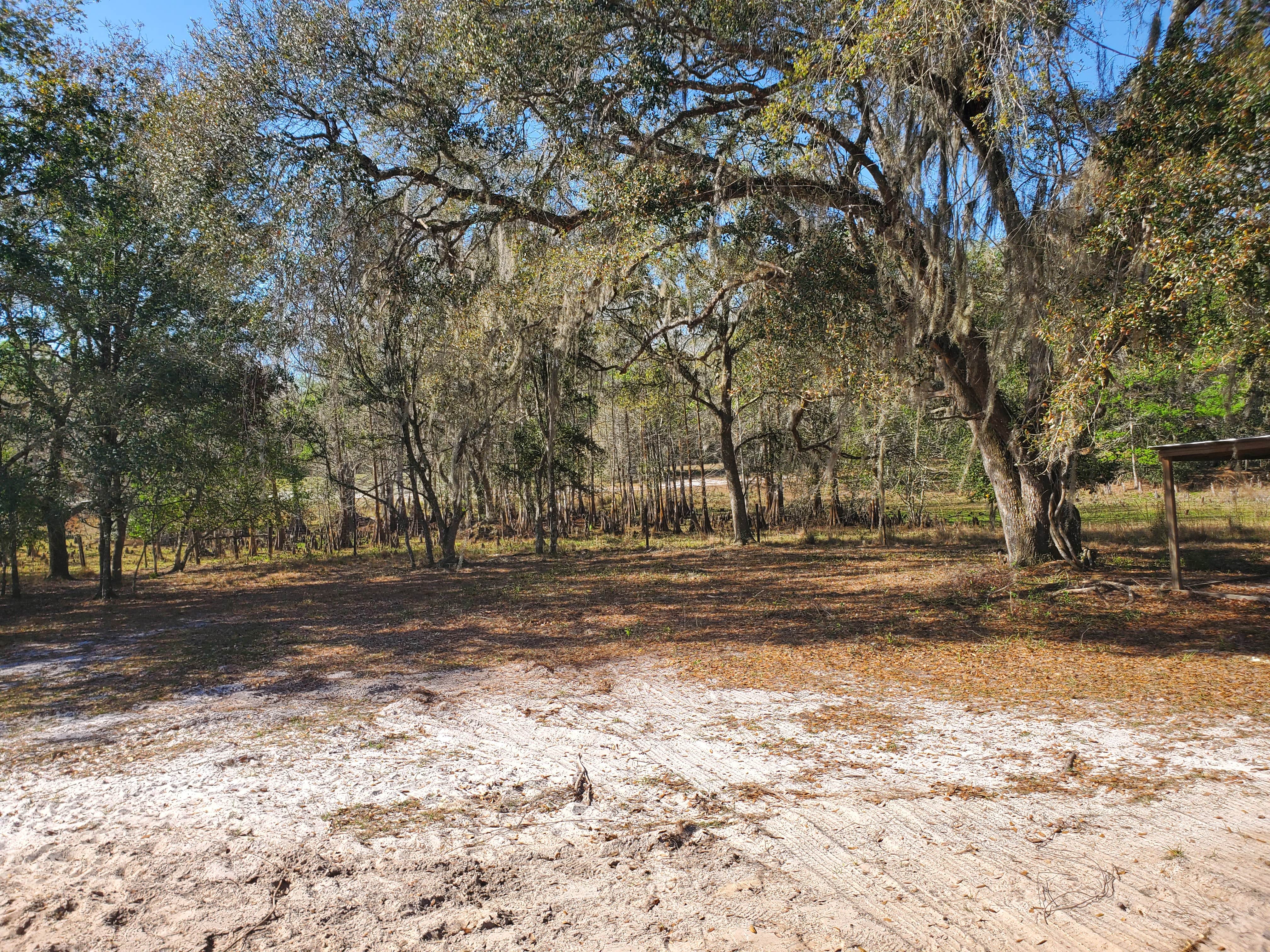 Camper-submitted photo at Lucky U Ranch near Inverness, FL