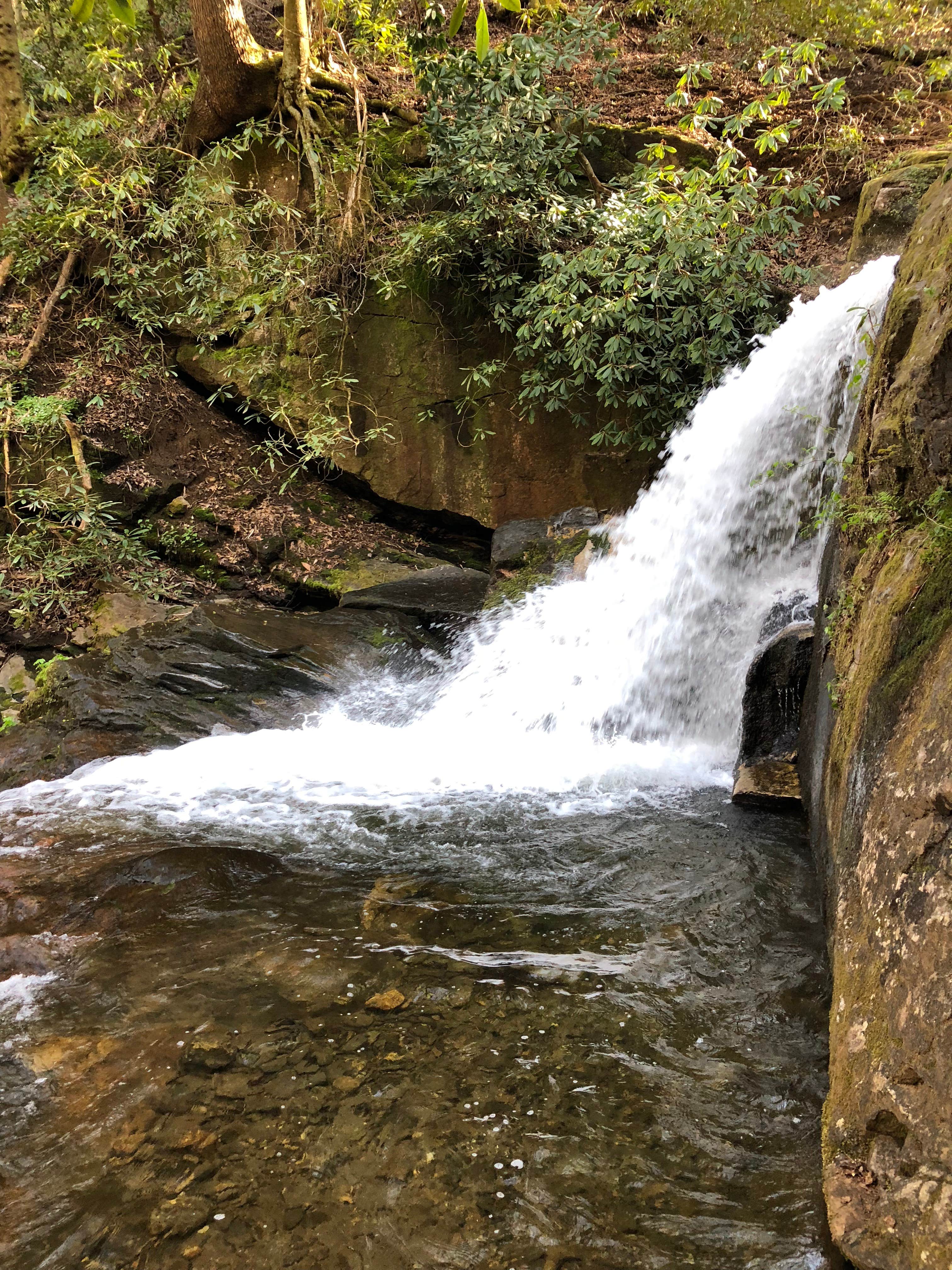 Camper-submitted photo at Raven Cliff Falls near Long Creek, SC