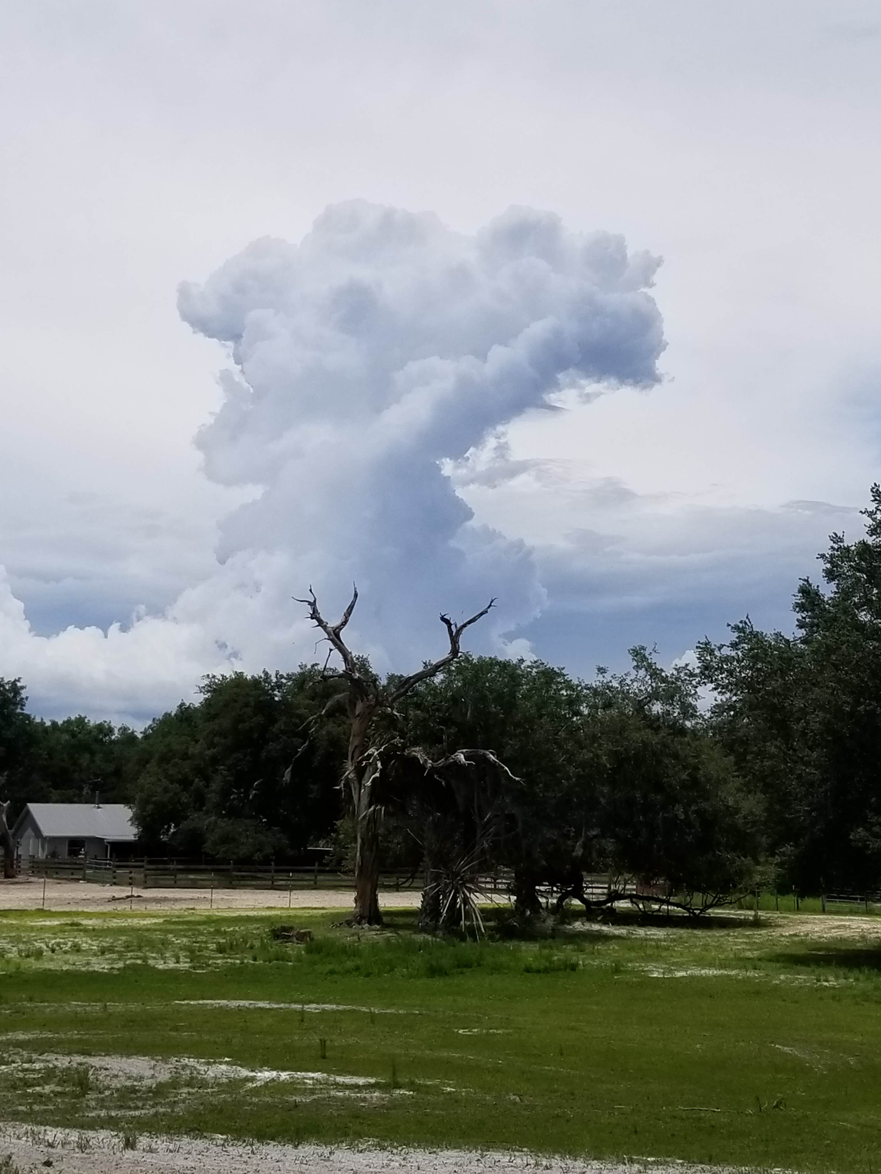 Camper-submitted photo at Lucky U Ranch near Inverness, FL