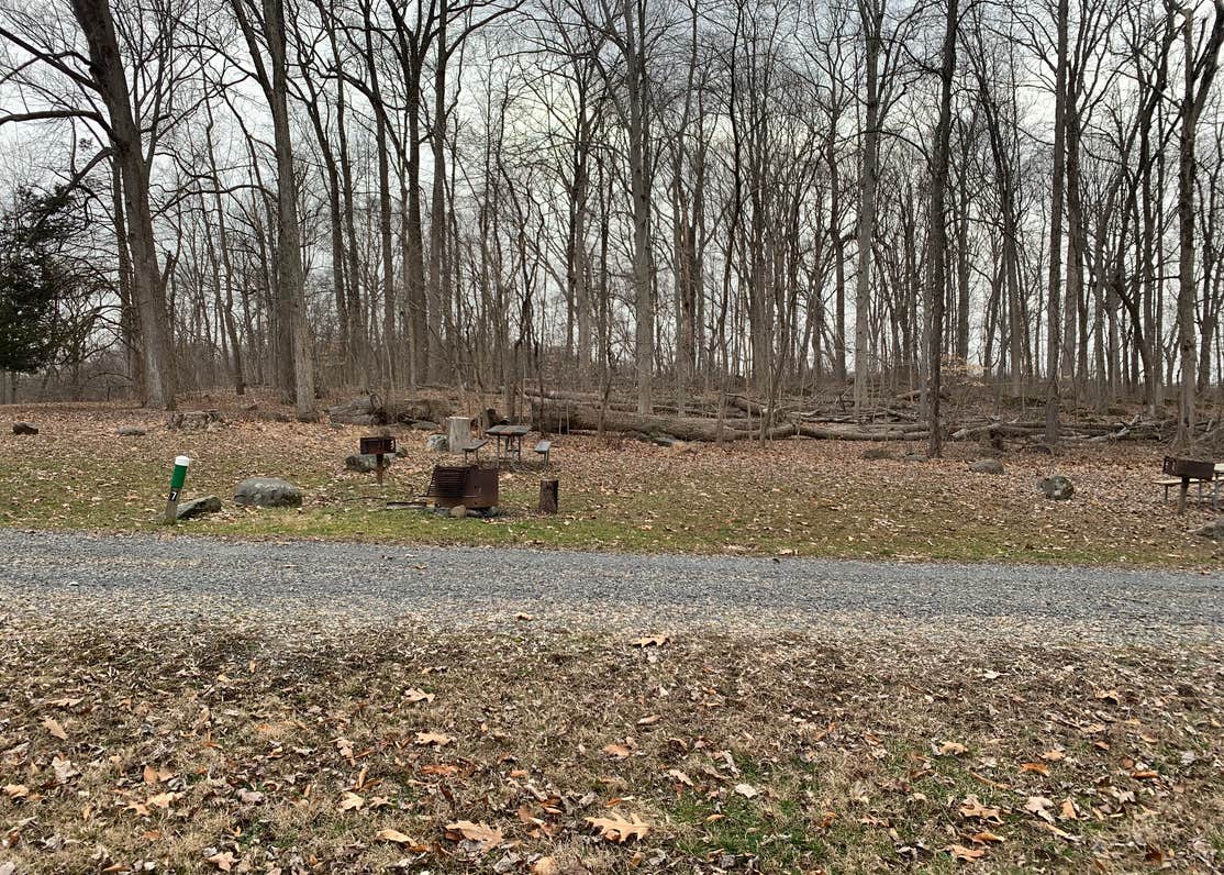 Deep Creek Campground at Green Lane Park Camping The Dyrt