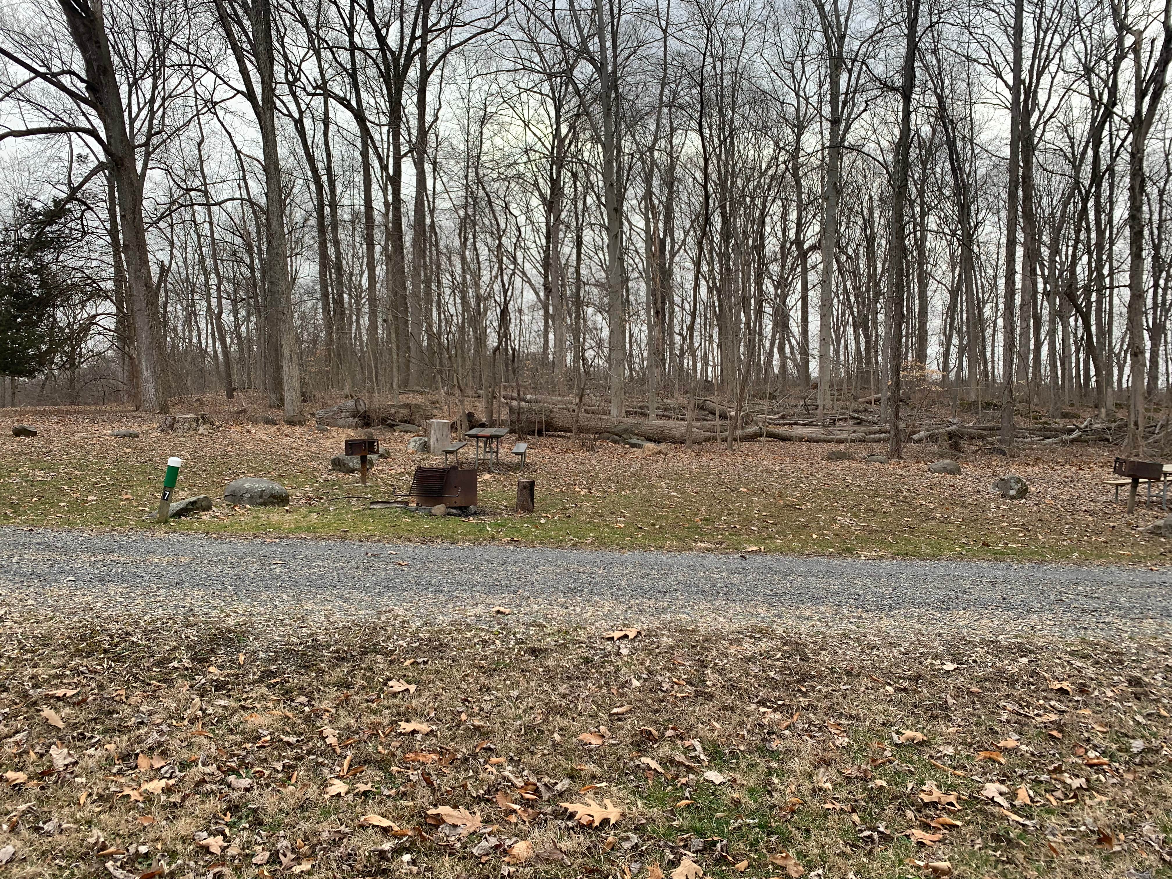 Camper submitted image from Deep Creek Campground at Green Lane Park - 2