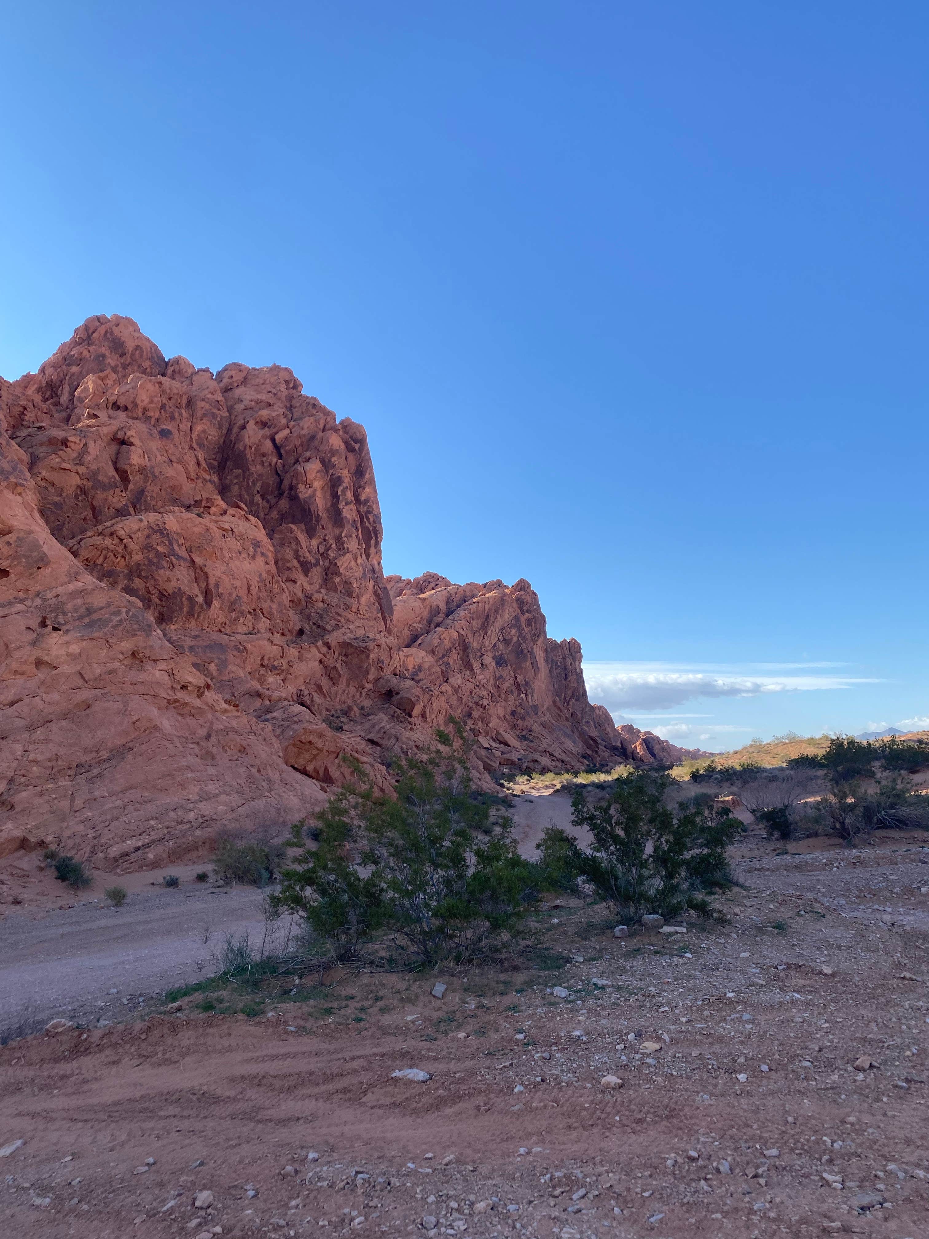 Camper-submitted photo at Logandale Trails near Overton, NV