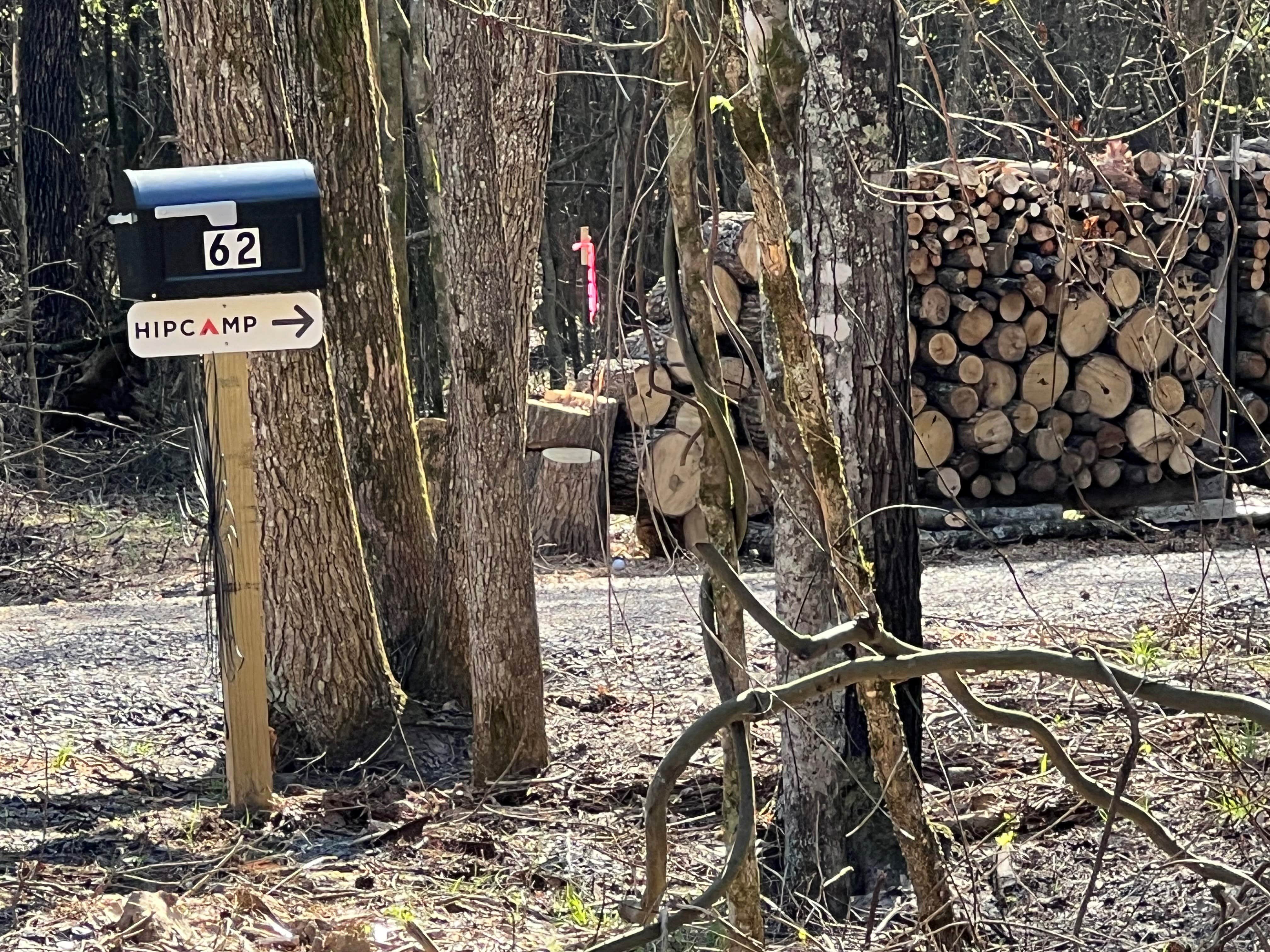 Camping near Eclipse Village (City Park): Camp 62 on Petit Jean Mountain, Adona, Arkansas