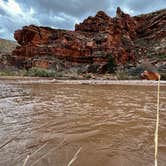 Review photo of Virgin River Gorge (BLM) by Taylor S., February 28, 2023