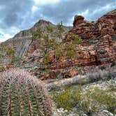 Review photo of Virgin River Gorge (BLM) by Taylor S., February 28, 2023