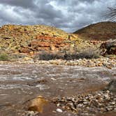 Review photo of Virgin River Gorge (BLM) by Taylor S., February 28, 2023