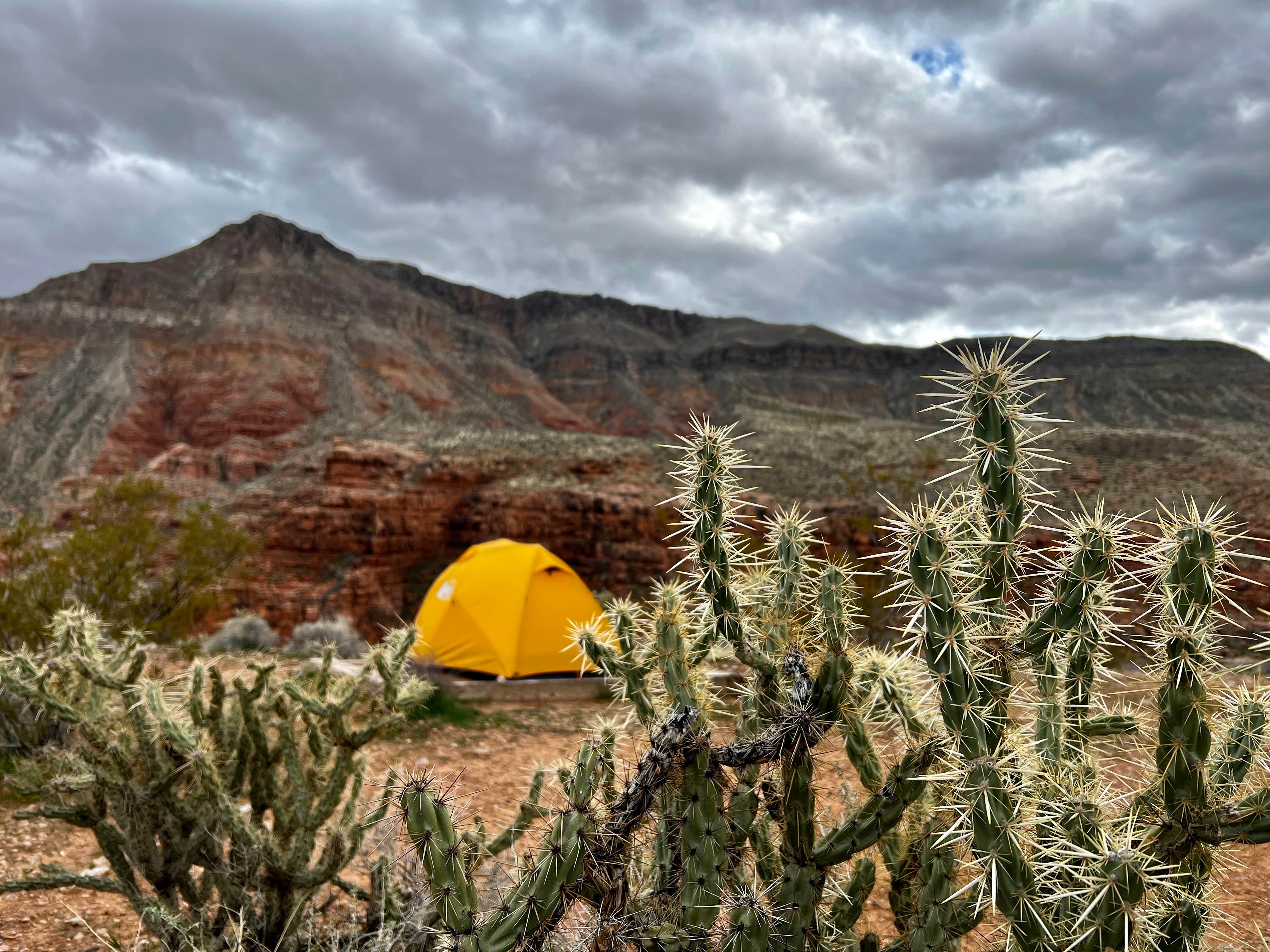 Taylor S.'s photo at Virgin River Gorge Recreation Area Campground (BLM) near Bunkerville, NV