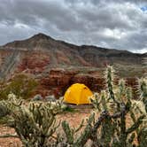 Review photo of Virgin River Gorge (BLM) by Taylor S., February 28, 2023