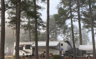 Stuart K.'s photo at Hardeeville RV near Hardeeville, SC
