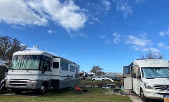 Camping near Cherry Blossom RV Resort: Bull Creek Campground, Bunnell, Florida