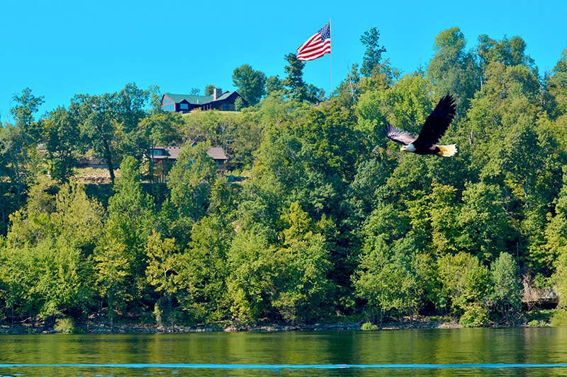 Camper submitted image from Rough River Lakefront RV Spot w/ Private Boat Dock - 1