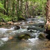 Review photo of Unicoi State Park & Lodge by Joshua G., October 2, 2018