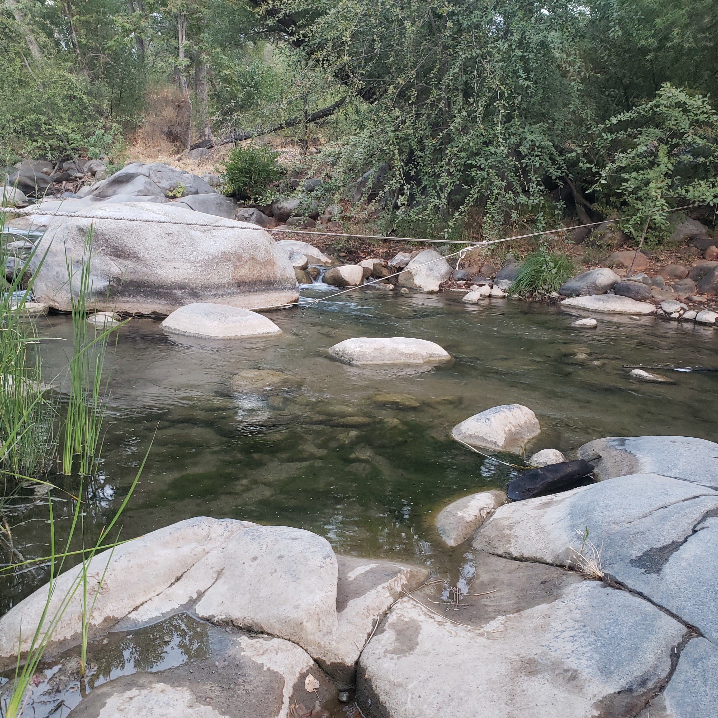 Camper submitted image from Camp or Glamp along the Tule River next to the Giant Sequoia National Monument - 1