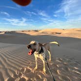 Review photo of Monahans Sandhills State Park Campground by Maggie  C., April 5, 2023