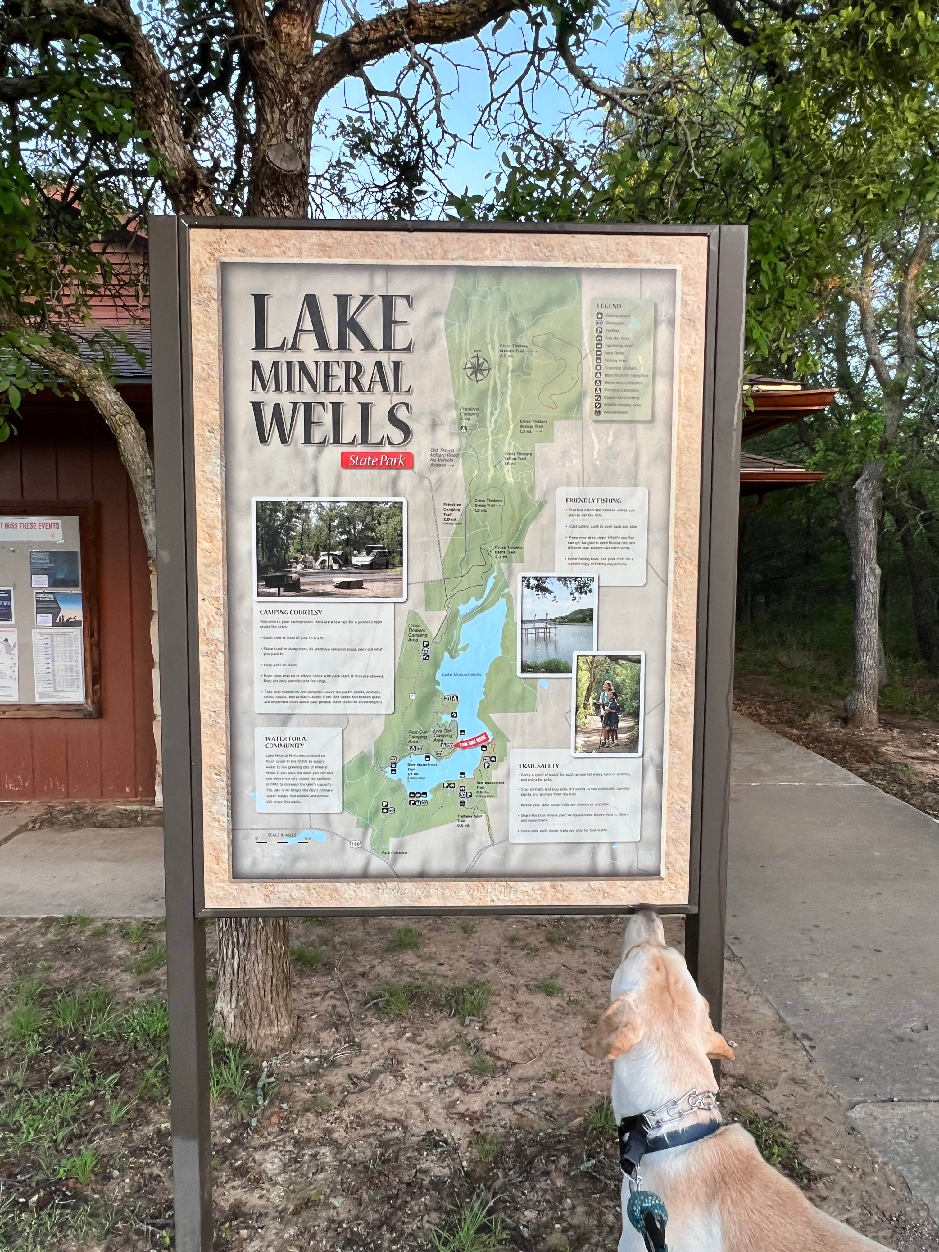 Maggie  C.'s photo of camping with pets at Live Oak — Lake Mineral Wells State Park near Graham, TX