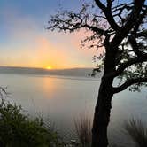 Review photo of Live Oak — Lake Mineral Wells State Park by Maggie  C., April 5, 2023