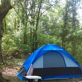 Review photo of Warriors' Path State Park Main Campground — Warriors' Path State Park by Natalie A., October 2, 2018