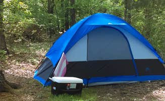 Natalie A.'s photo at Warriors' Path State Park Main Campground — Warriors' Path State Park near Ducktown, TN