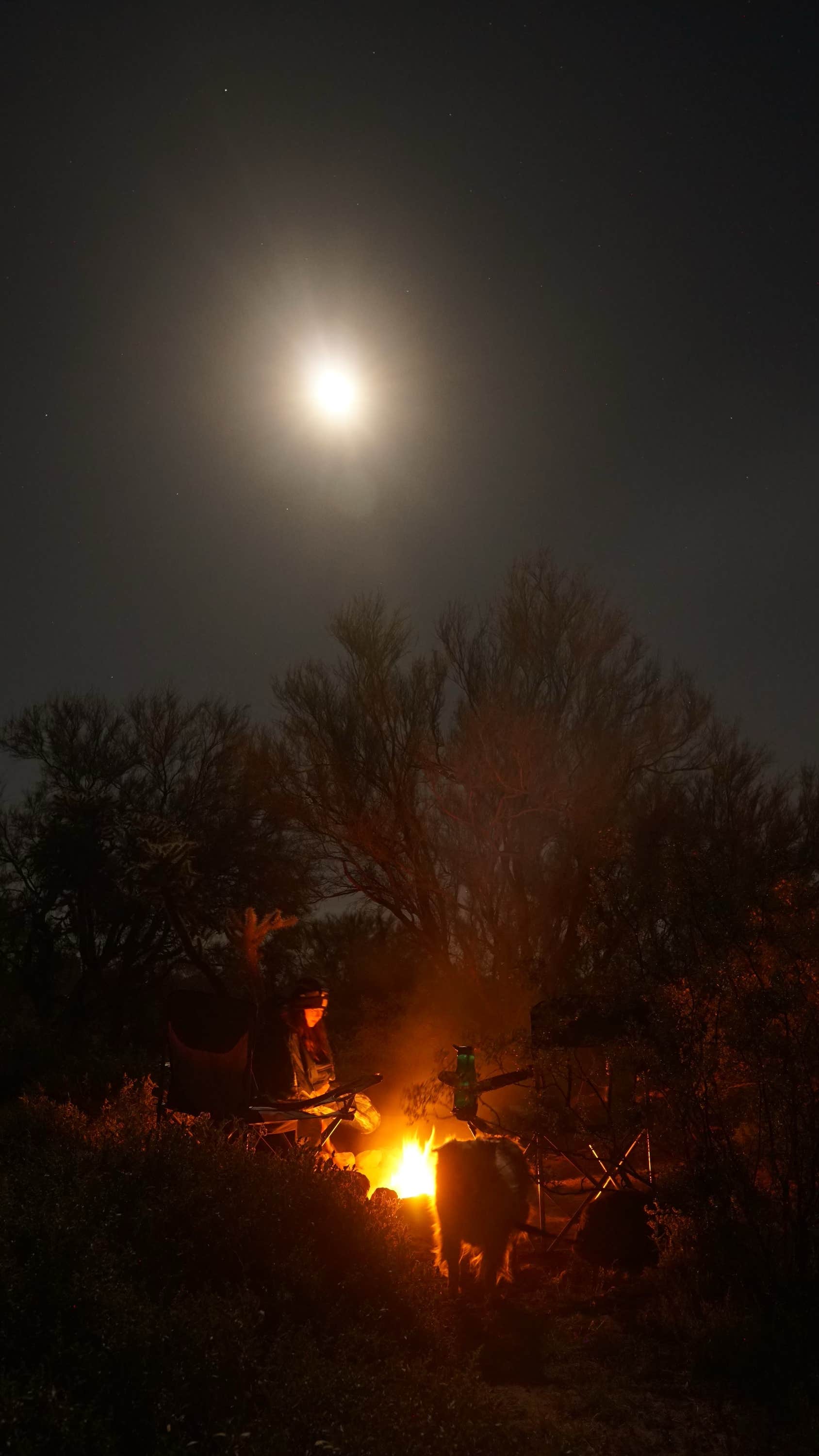 Camping near Cactus Forest Dispersed: Cactus Forest Dispersed Site, Marana, Arizona