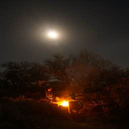 Cactus Forest Dispersed Site