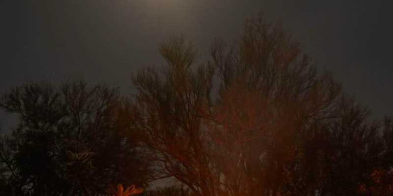 Camper submitted image from Cactus Forest Dispersed Site