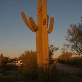 Review photo of Cactus Forest Dispersed Site by Sierra N., April 5, 2023