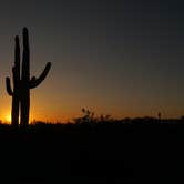 Review photo of Cactus Forest Dispersed Site by Sierra N., April 5, 2023